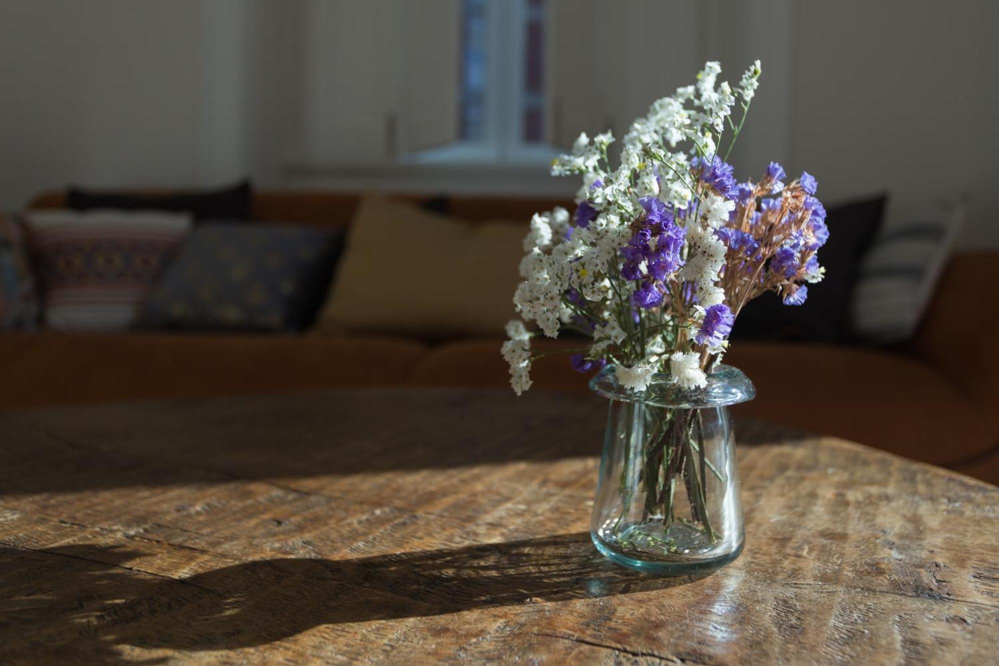 Vila Julieta Guesthouse Coimbra Eksteriør bilde
